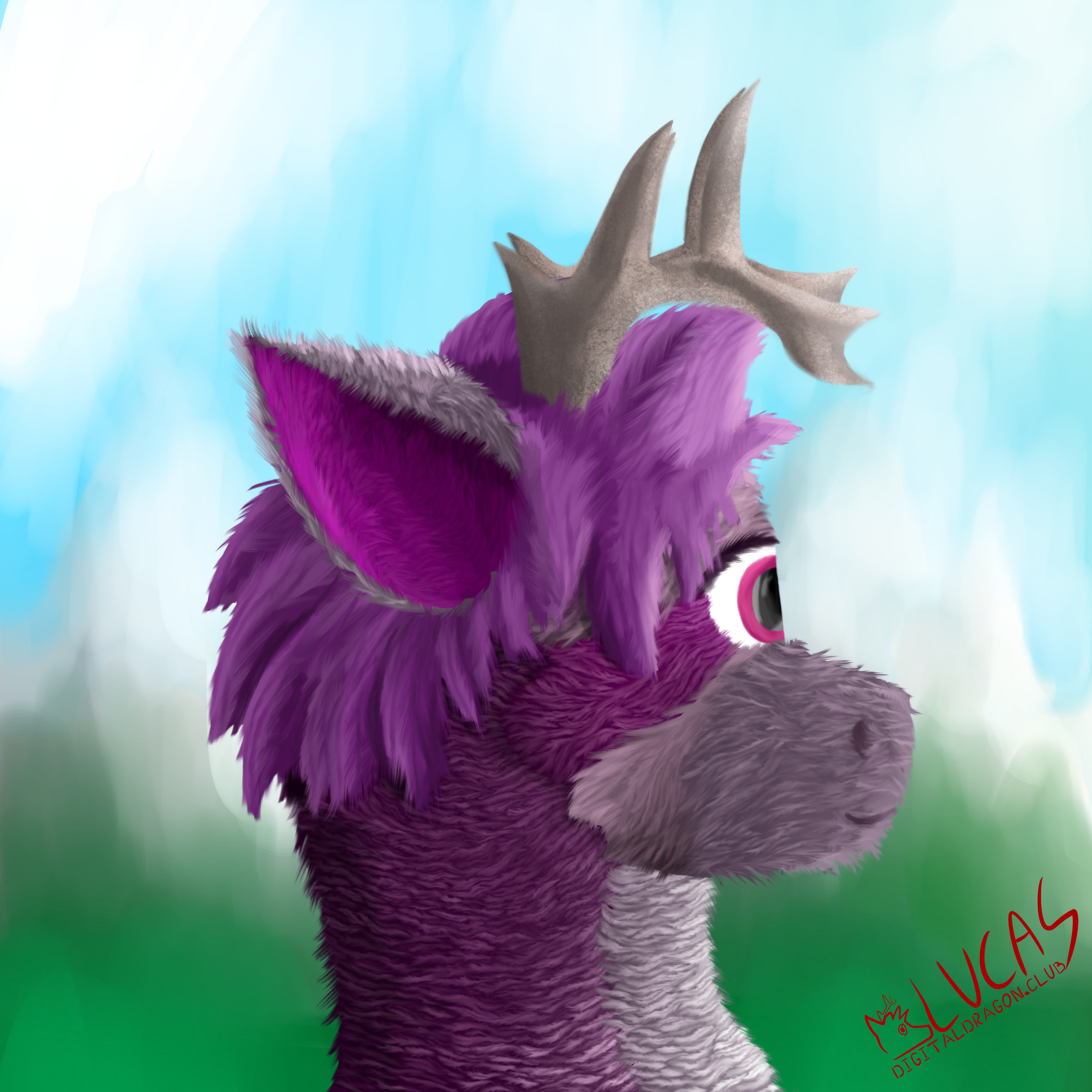 Male purple furred furry anthro dragon