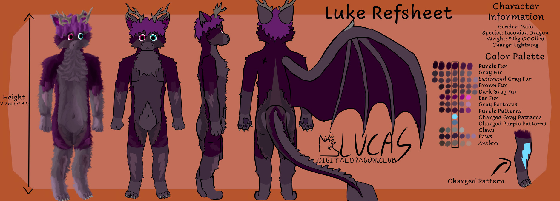 Furred furry anthro lightning dragon refsheet