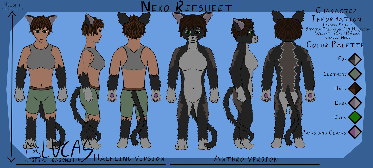 Anthro cat human hybrid refsheet