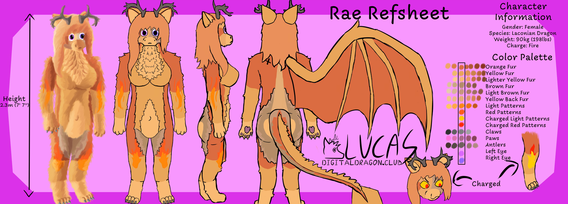 Female furred furry anthro fire dragon refsheet