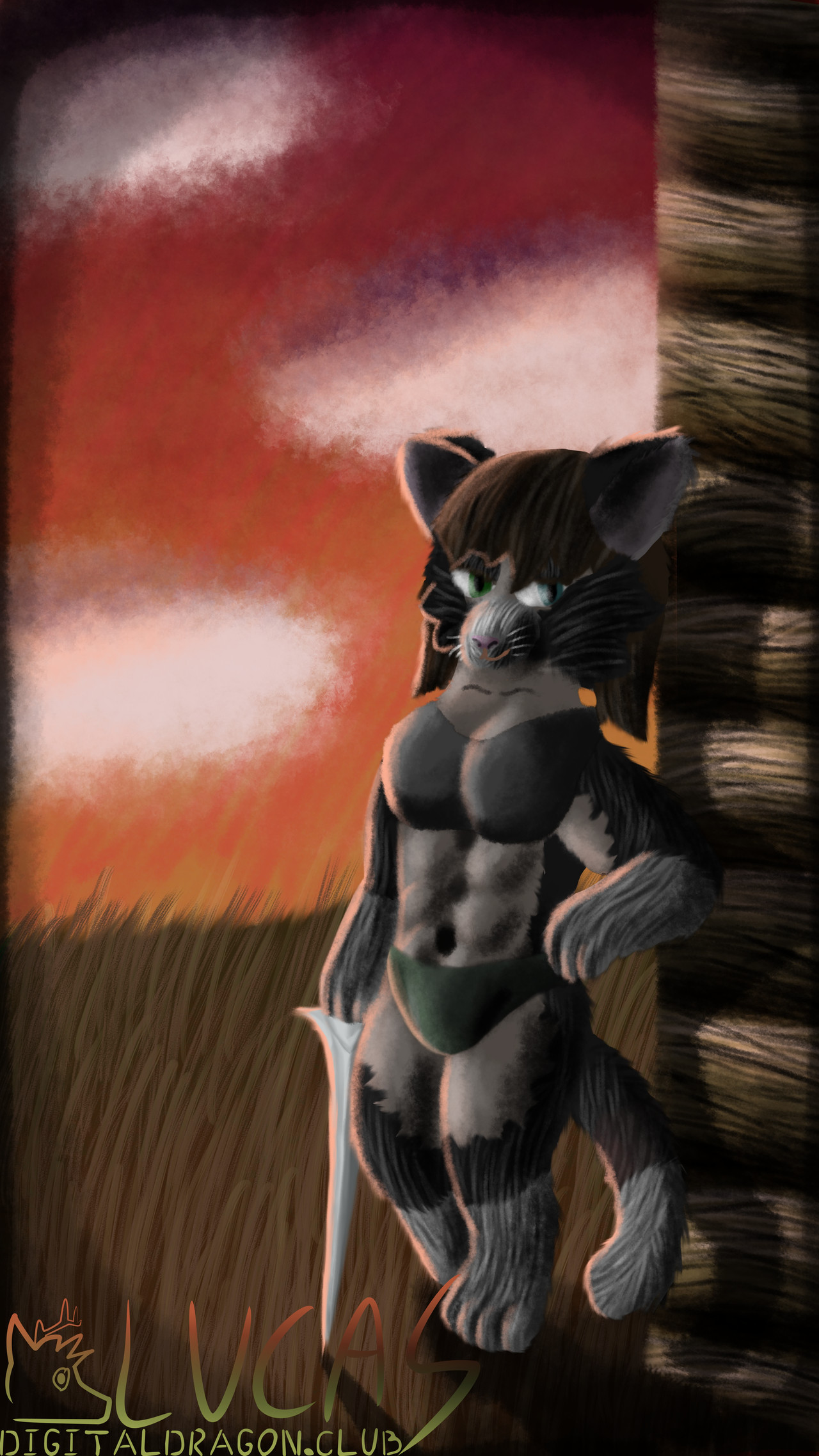 Drawing Preview